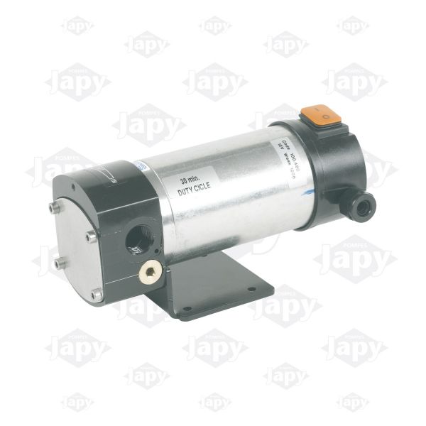 Pompe à Huile Rotative Avec Tuyau Flexible - PIUSI 08526