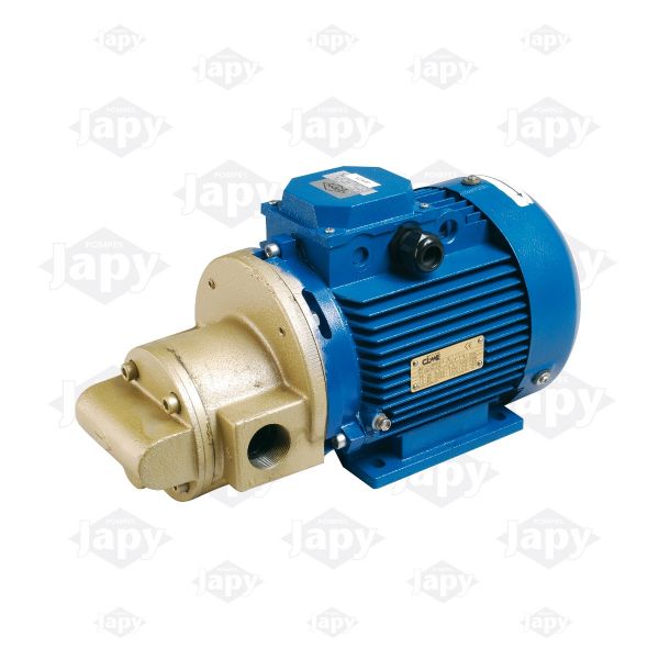 NLP – pompe hydraulique électrique, pompe à huile Diesel AC 220V, pompe à  huile cc, pompe à engrenages de lubrification à l'huile - AliExpress